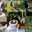 달콤한 푸른농장 이미지