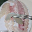 직거래 회 수산 | 반월동 맛집 직거래수산 광어회, 숭어막회 포장 후기