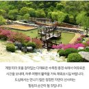 11월2일(월) - 완주대아수목원 가을단풍꽃. 아원고택,위봉사, 위봉폭포 이미지