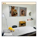 청라브라질리언왁싱 아로하슈가링 천연제품으로 건강하게 왁싱하기