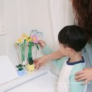 아이방꾸미기 레고 보태니컬 우리집 플랜테리어 9살남아선물