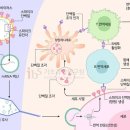 ■ SKY Covione, 국내1호 코로나19 백신 품목 허가 이미지