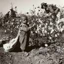 보야르 | 지리로 보는 러시아