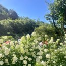 솔솔리조트 2호점 이미지