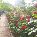 한신엘리베이터(주) 이미지