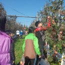 성심농장 이미지