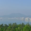 약산면-5 티스토리