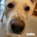 뉴그린호텔 이미지