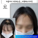 비앤에스디자인