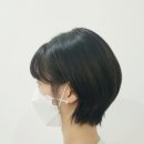 봄 헤어살롱