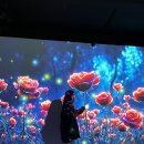 녹색 | [영천] 🌿녹색체험터 평일 방문 후기
