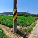 충남 논산시 상월면 2차선접한 토지 매매 이미지