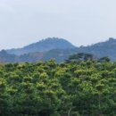 성송농장 이미지