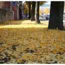 중앙장여관 이미지