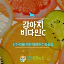 양천종합동물병원 이미지