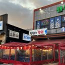 매일낙지 | 파주 야당 야장 포차 술집 횟집 한접시만원 대하새우 광어 산낙지 후기