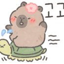 제일사슴농장 이미지