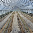 봄뜰에농장 이미지