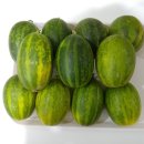 청송상회 이미지