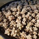 드림 팬션 이미지