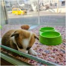 독라이프 이미지