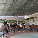 BK승마랜드 이미지