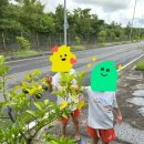 카페그림 | 제주 이색카페 추천 날쌘카페 제주그림카페점 내돈내산 후기