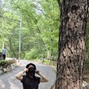 재원