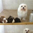 열에아홉미용실 이미지