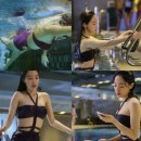 양정원 카카오 검색결과