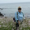 신흥목장 이미지