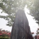 도 경계 도화동산 이미지