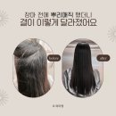 에스미용실 | 학동역 논현동미용실 에스후 스튜디오 뿌리매직 후기