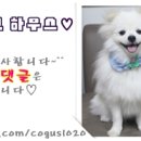 길주로594번길 이미지