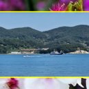 한려해상국립공원 Daum카페