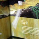 흙이랑 나무랑 이미지