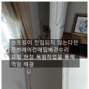세븐일레븐 진천혁신센텀점 | 진천에어컨매립배관수리 땅속 동배관 꺽임 교체없이 복원 해결