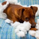 엠에스마산보조기 이미지