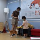 내가할개 이미지