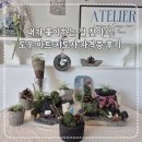 오운아트 | 나를 찾는 여정! 도우아트 지도사 자격증 후기 (오운아뜰리에)