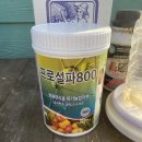 표선가시리민박 이미지