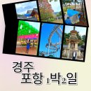 동궁횟집 | 경주 포항 여행 필수 코스 불국사 스페이스워크 1박2일 후기