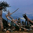 속리농원 이미지