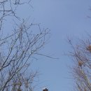 여름속에서 겨울을 본 속리산 천왕봉(1,058m,HL/CB-014)(20160410)... 이미지