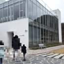 느티나무 | 아이와 함께 가기 좋은 양산 대형카페, 느티나무의 사랑 후기