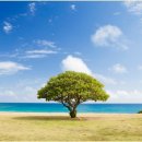 황금여인숙 이미지