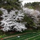 임랑해수욕장3 이미지