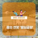 용담연못 이미지