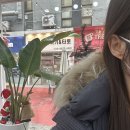 심쿵플레이스 | 피어싱 잘하는 곳 심쿵피어싱 안산점 | 귀걸이 피어싱 종류, 귀 뚫는 가격