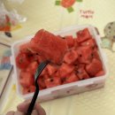 클럽아이리스 | 경북 칠곡 왜관 클럽아이리스 수영장 내돈내산 후기 (주차, 이용방법 총정리)